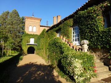 Finca en Castilleja