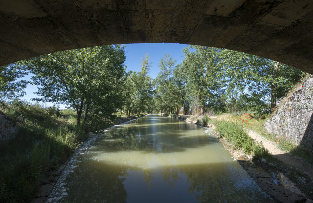 CANAL DE CASTILLA230613 (33)