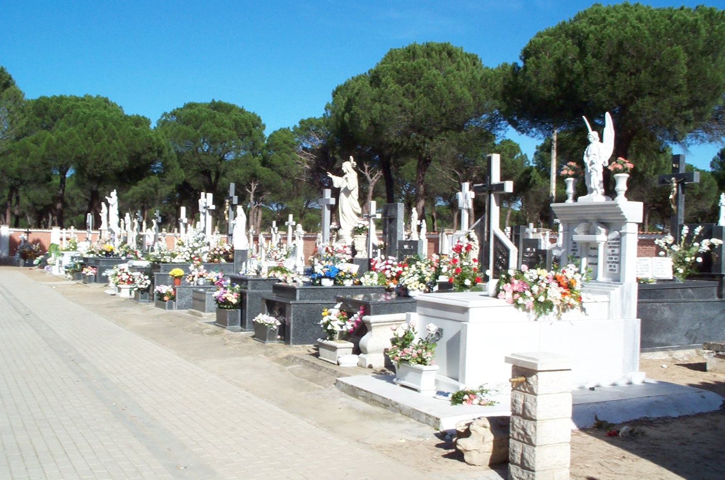 Cementerio El Carmen