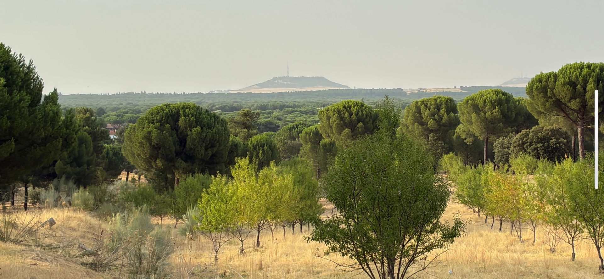 gallery-pinar-Df5wTKEJ