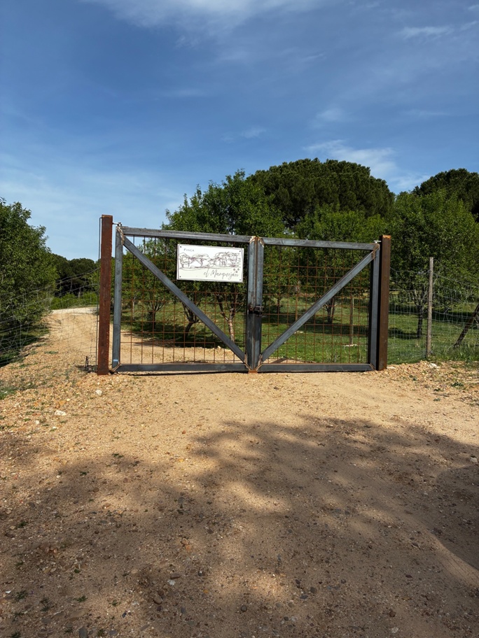 Finca El Marquejón